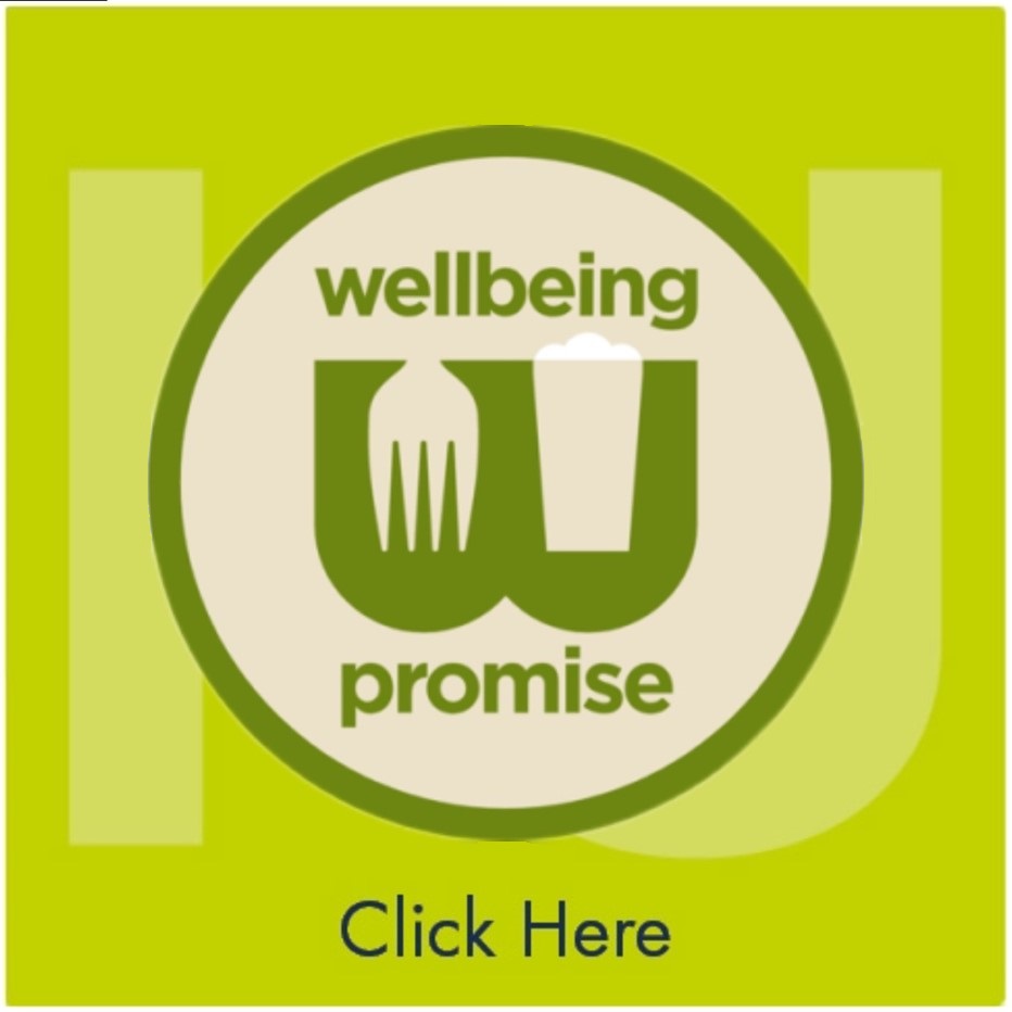 Wellbeing and Development Promise